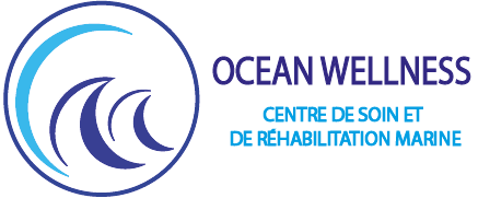 Logo_ocean